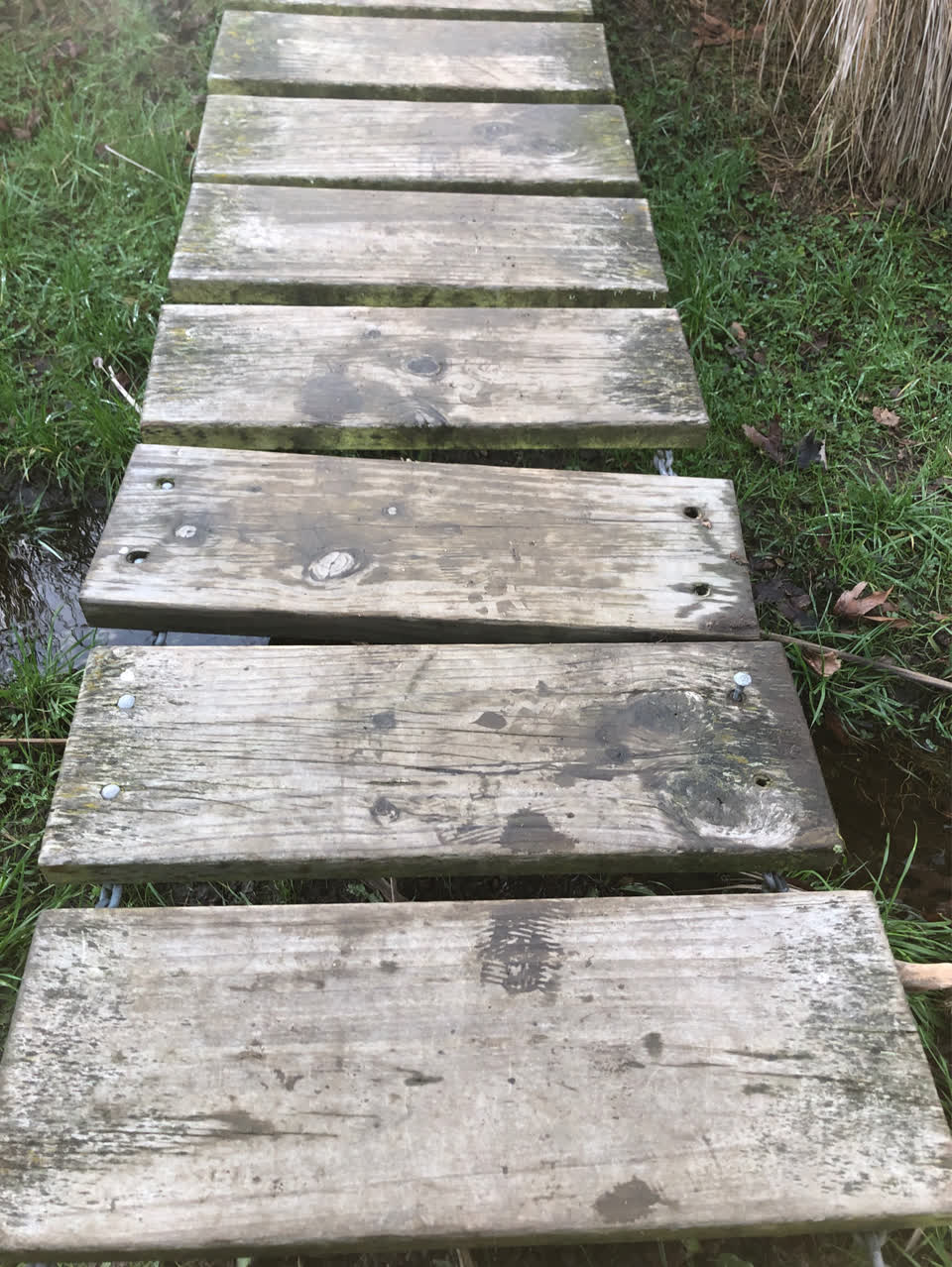 The photograph attached to this parks report