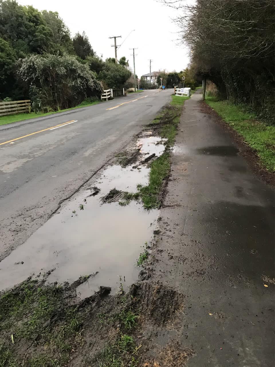 The photograph attached to this roading/streets report