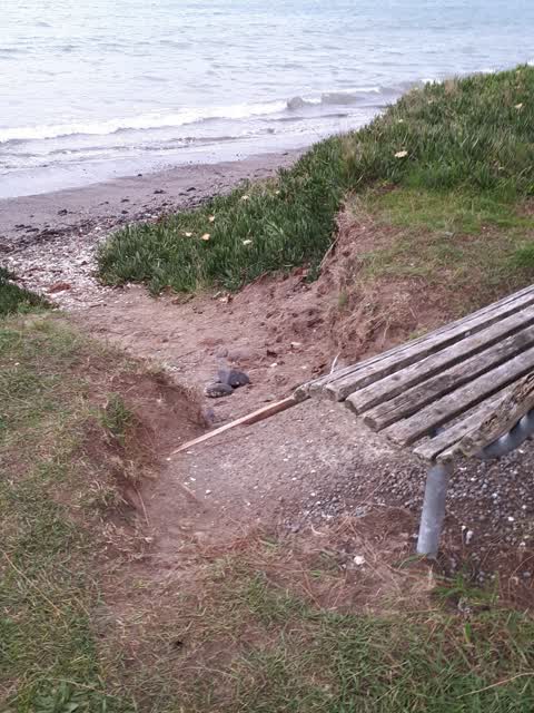 Parks, a report photo