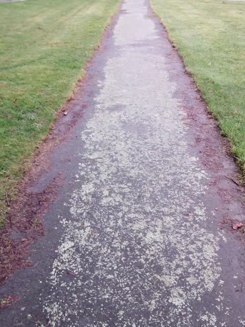 Parks, a report photo