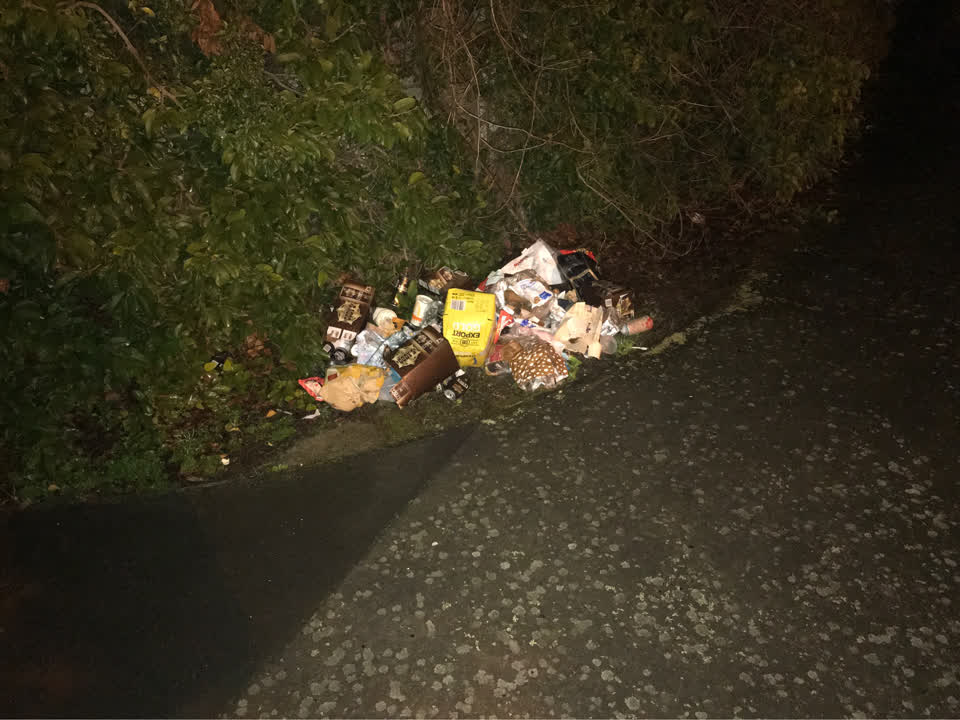 The photograph attached to this rubbish/recycling report