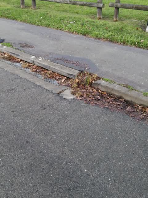 Roading/Streets, a report photo