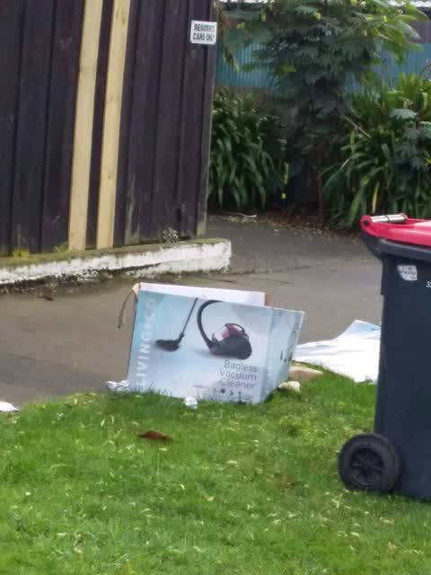 Rubbish/Recycling, a report photo