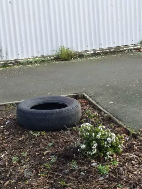 Rubbish/Recycling, a report photo