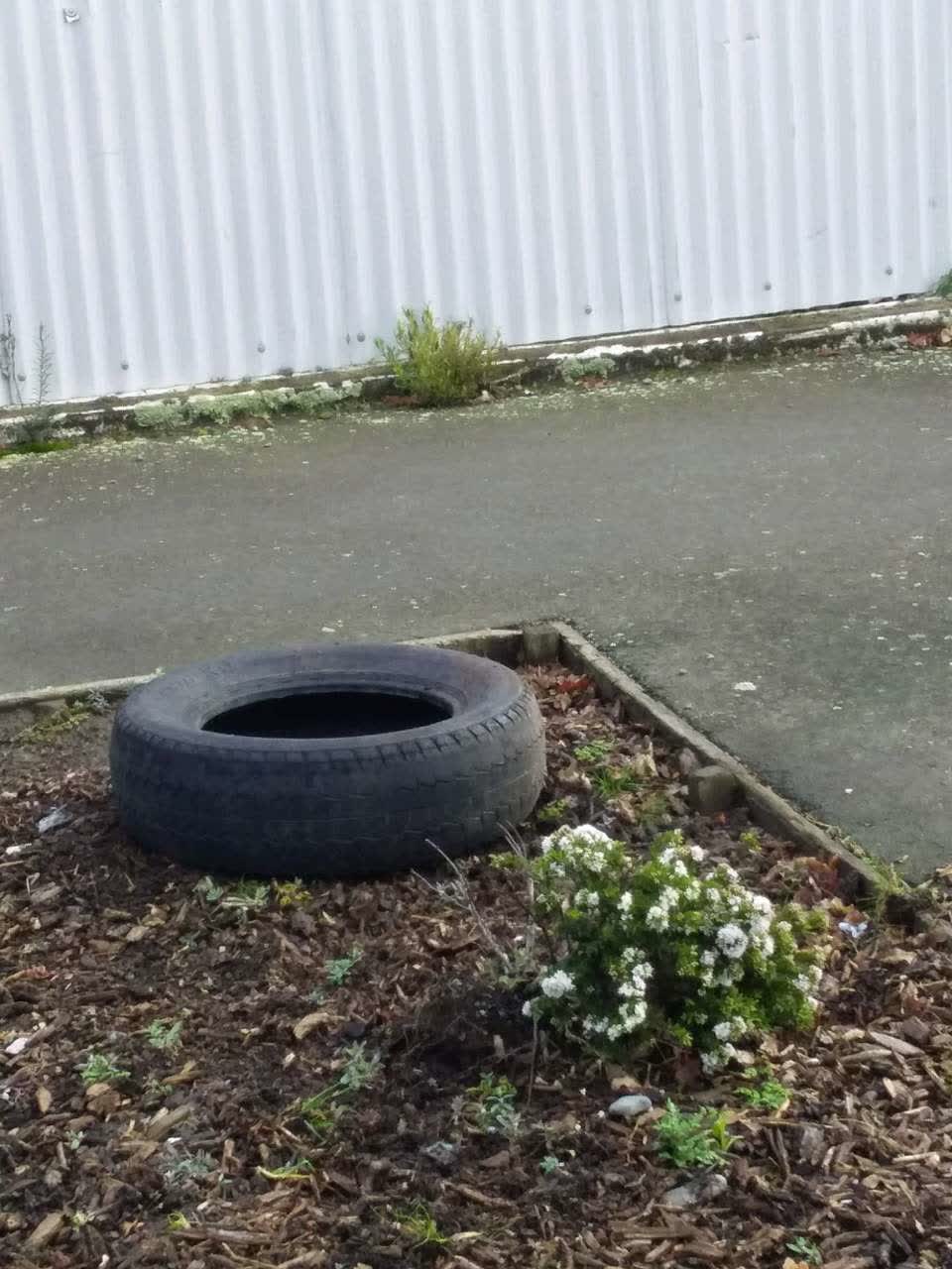 The photograph attached to this rubbish/recycling report