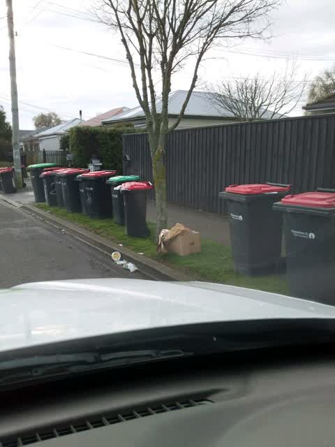 Rubbish/Recycling, a report photo