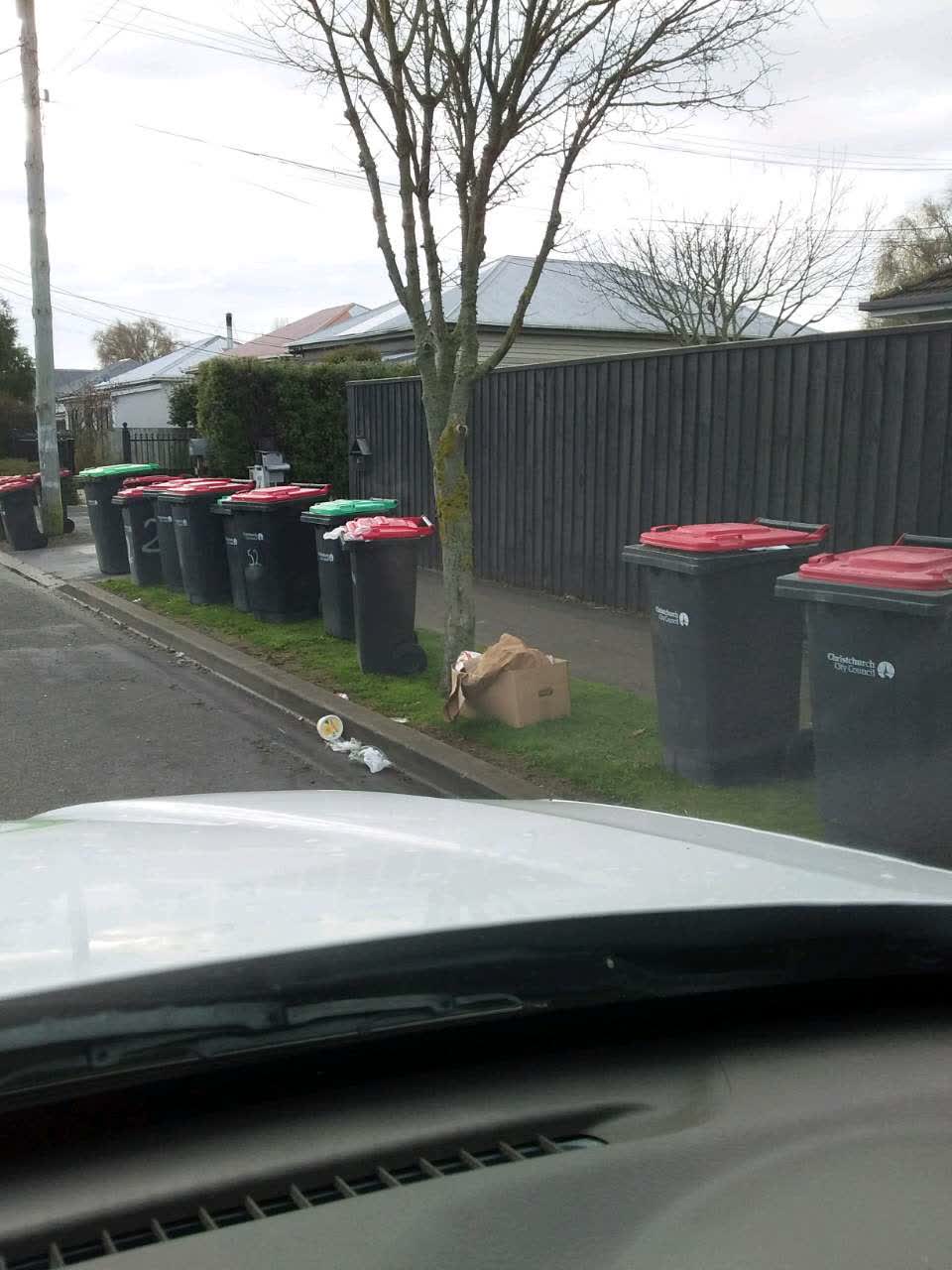 The photograph attached to this rubbish/recycling report