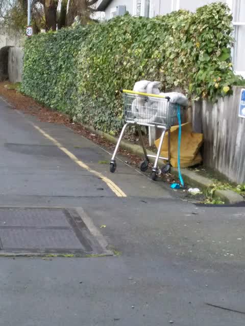 Rubbish/Recycling, a report photo