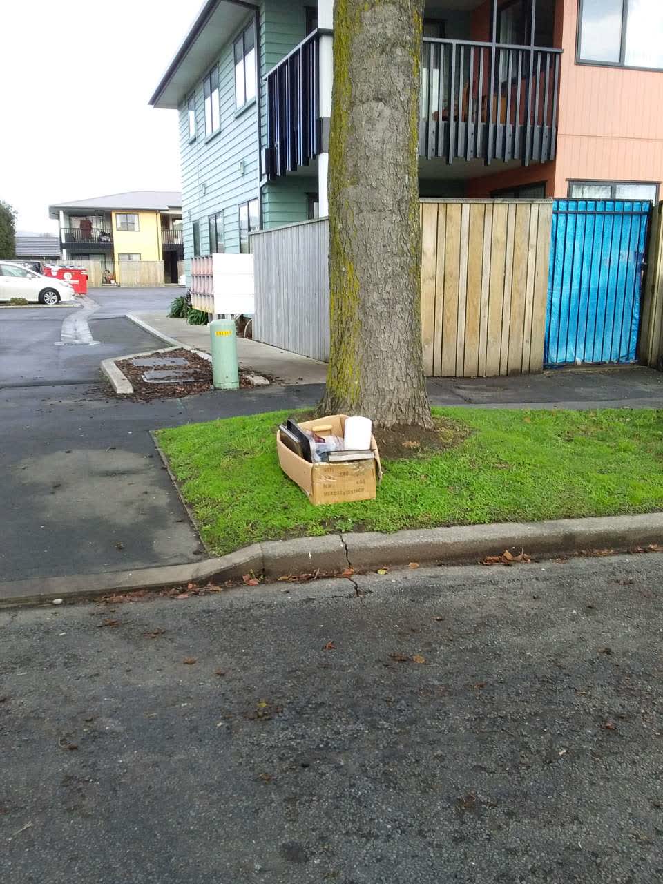 The photograph attached to this rubbish/recycling report