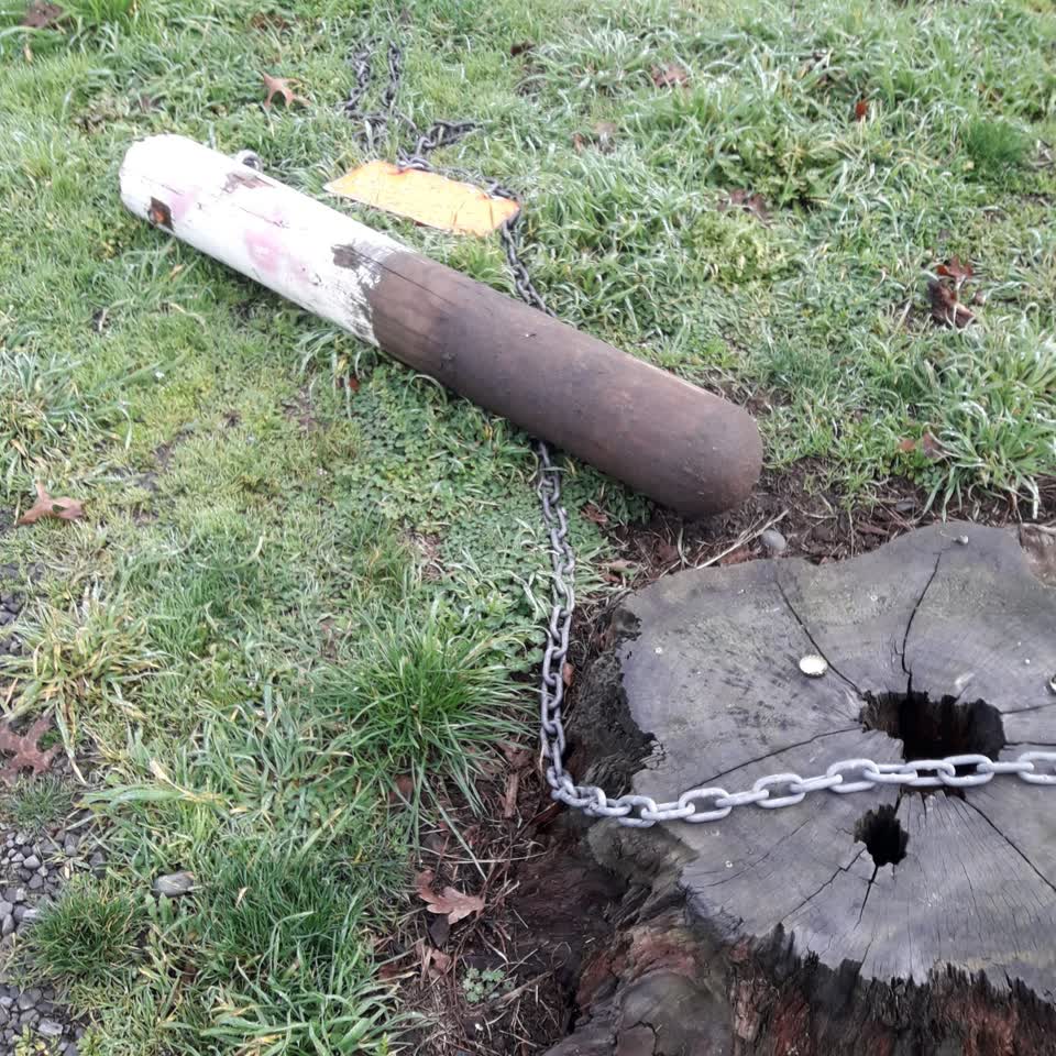 The photograph attached to this parks report