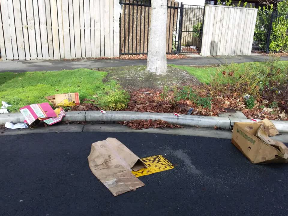 The photograph attached to this rubbish/recycling report