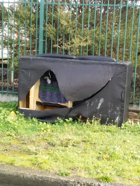 Rubbish/Recycling, a report photo