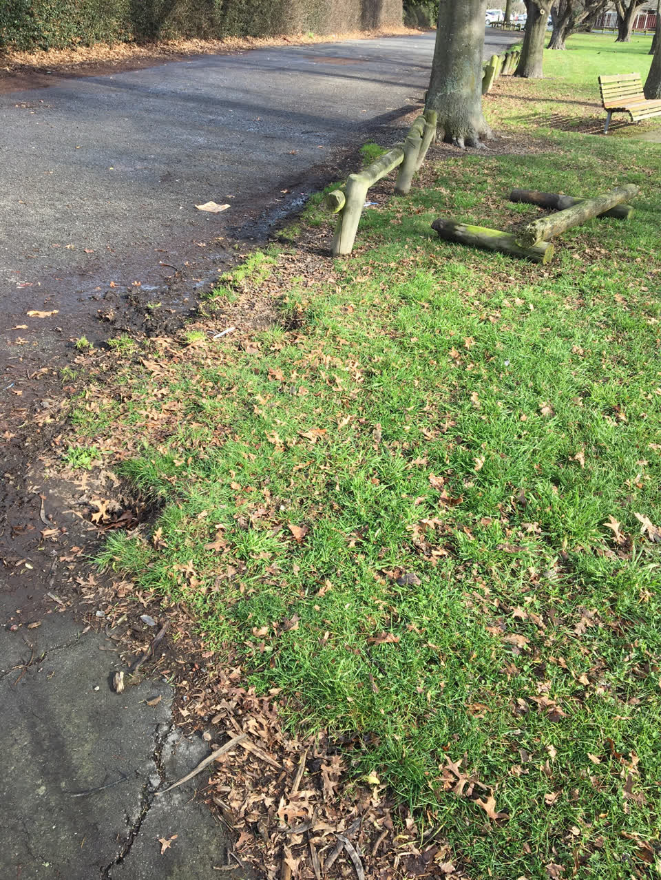 The photograph attached to this parks report