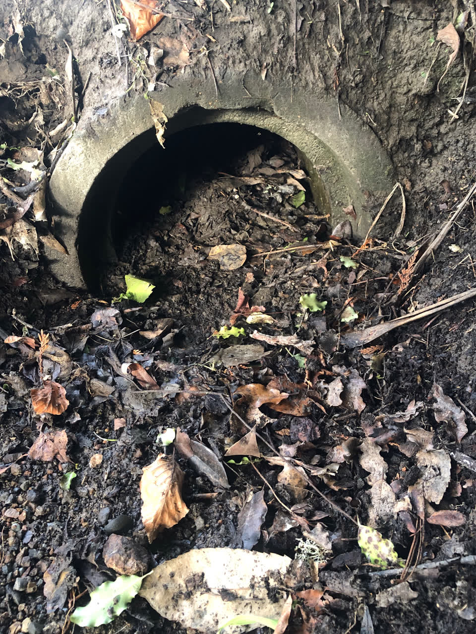 The photograph attached to this wastewater/stormwater report