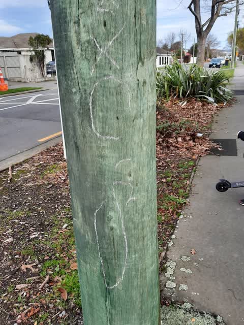Graffiti, a report photo