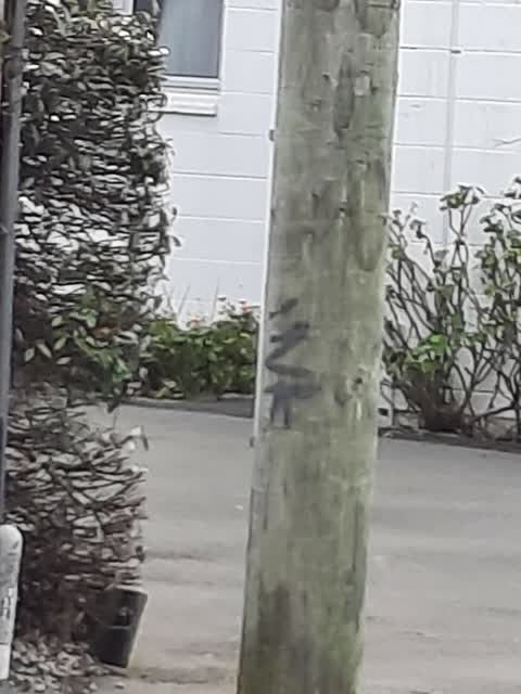 Graffiti, a report photo