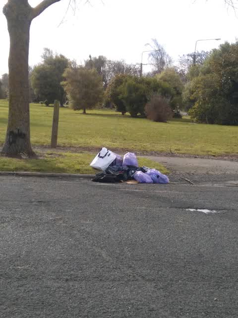 Rubbish/Recycling, a report photo