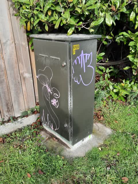 Graffiti, a report photo