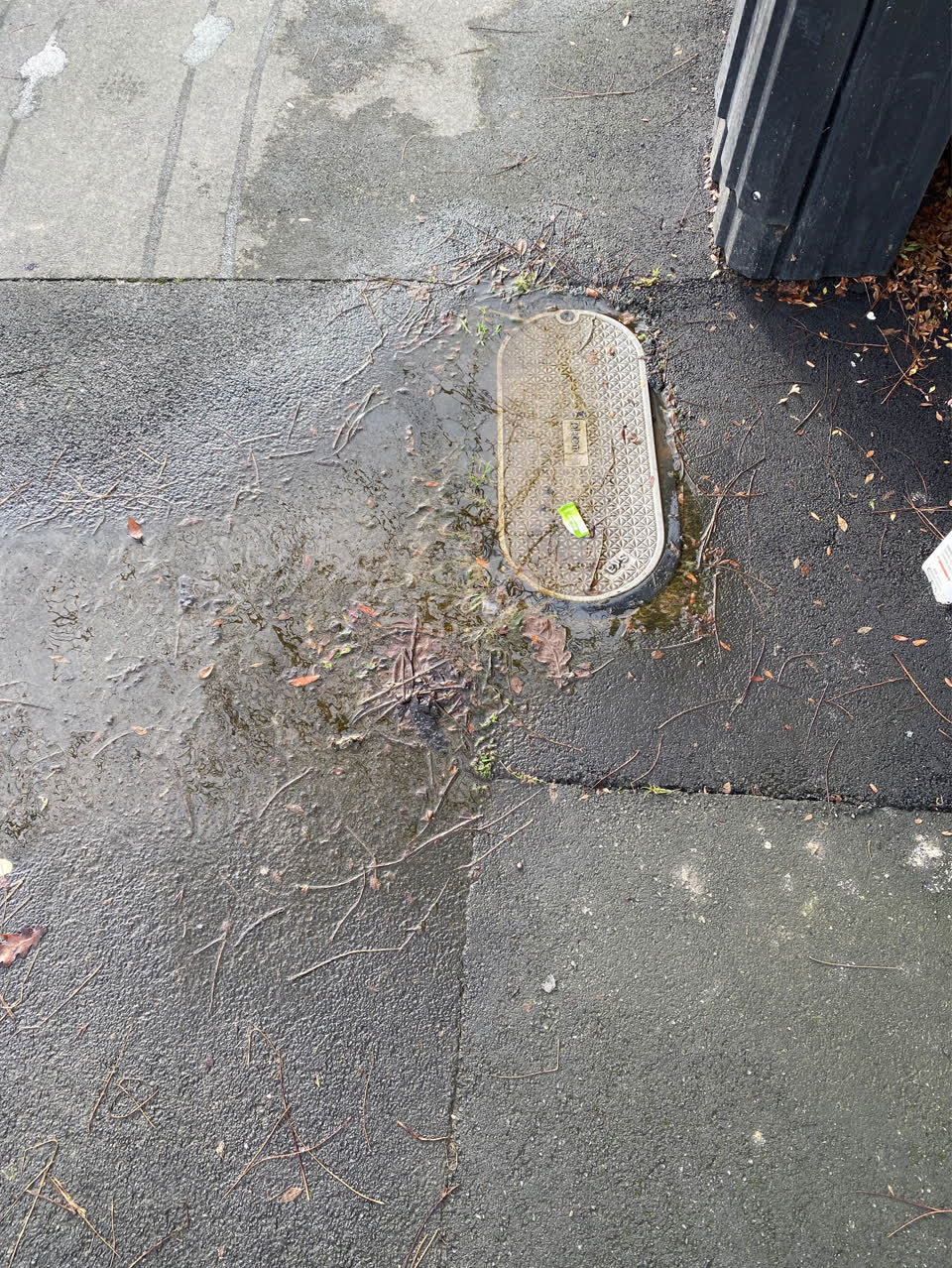 The photograph attached to this water supply report