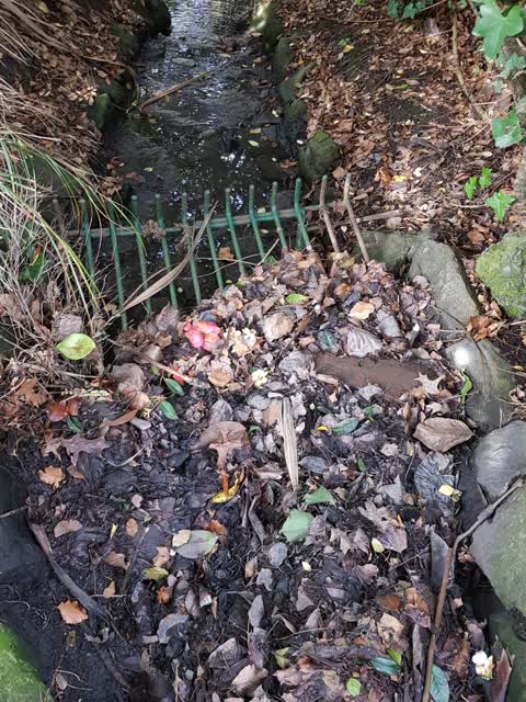 Wastewater/Stormwater, a report photo