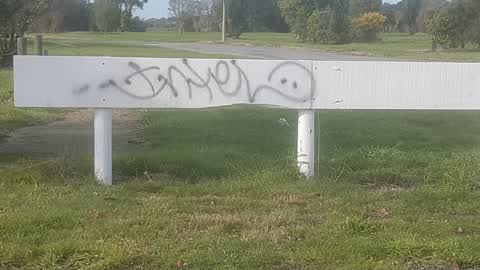 Graffiti, a report photo