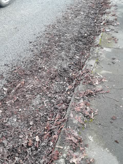 Roading/Streets, a report photo