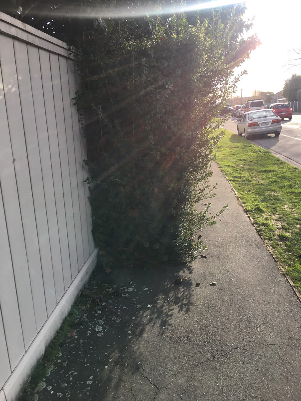 The photograph attached to this parks report