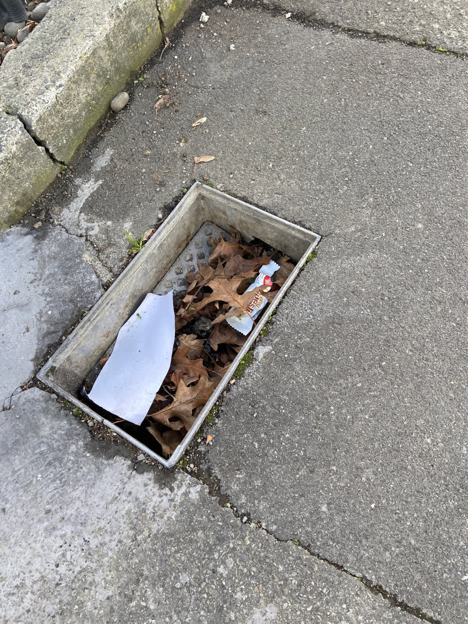 The photograph attached to this roading/streets report