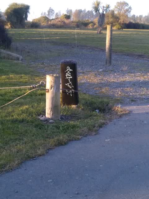 Graffiti, a report photo