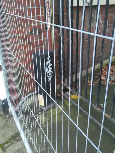 Graffiti, a report photo