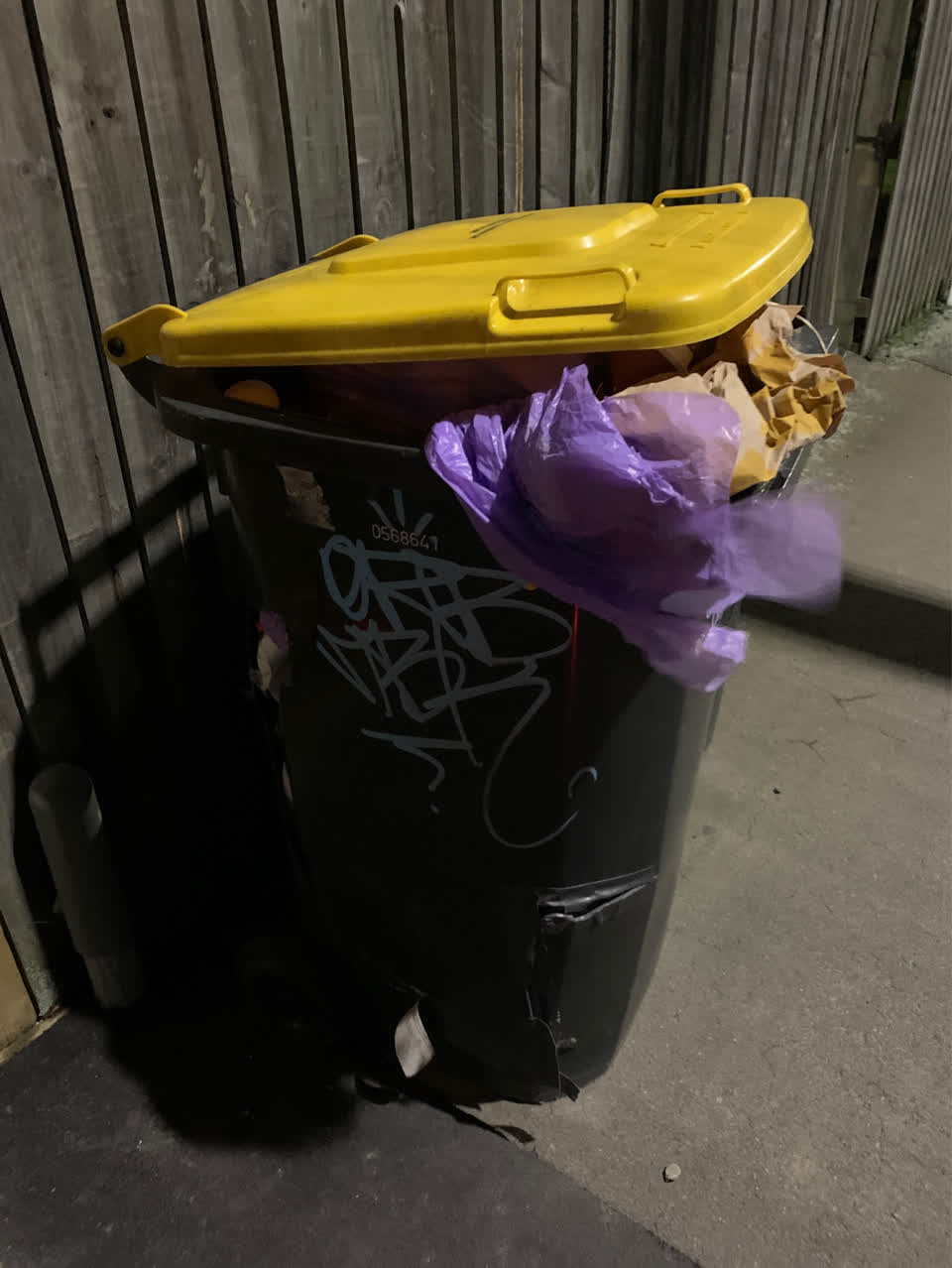 The photograph attached to this rubbish/recycling report