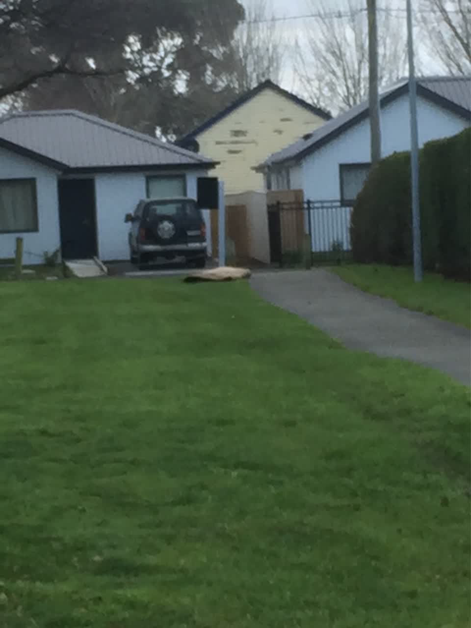 The photograph attached to this parks report