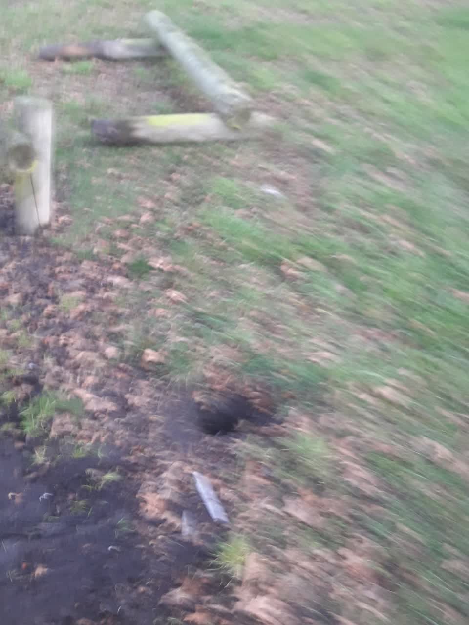 The photograph attached to this parks report