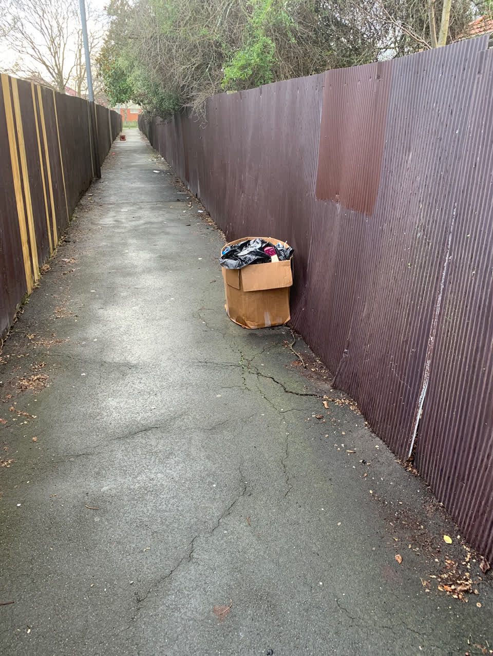 The photograph attached to this rubbish/recycling report