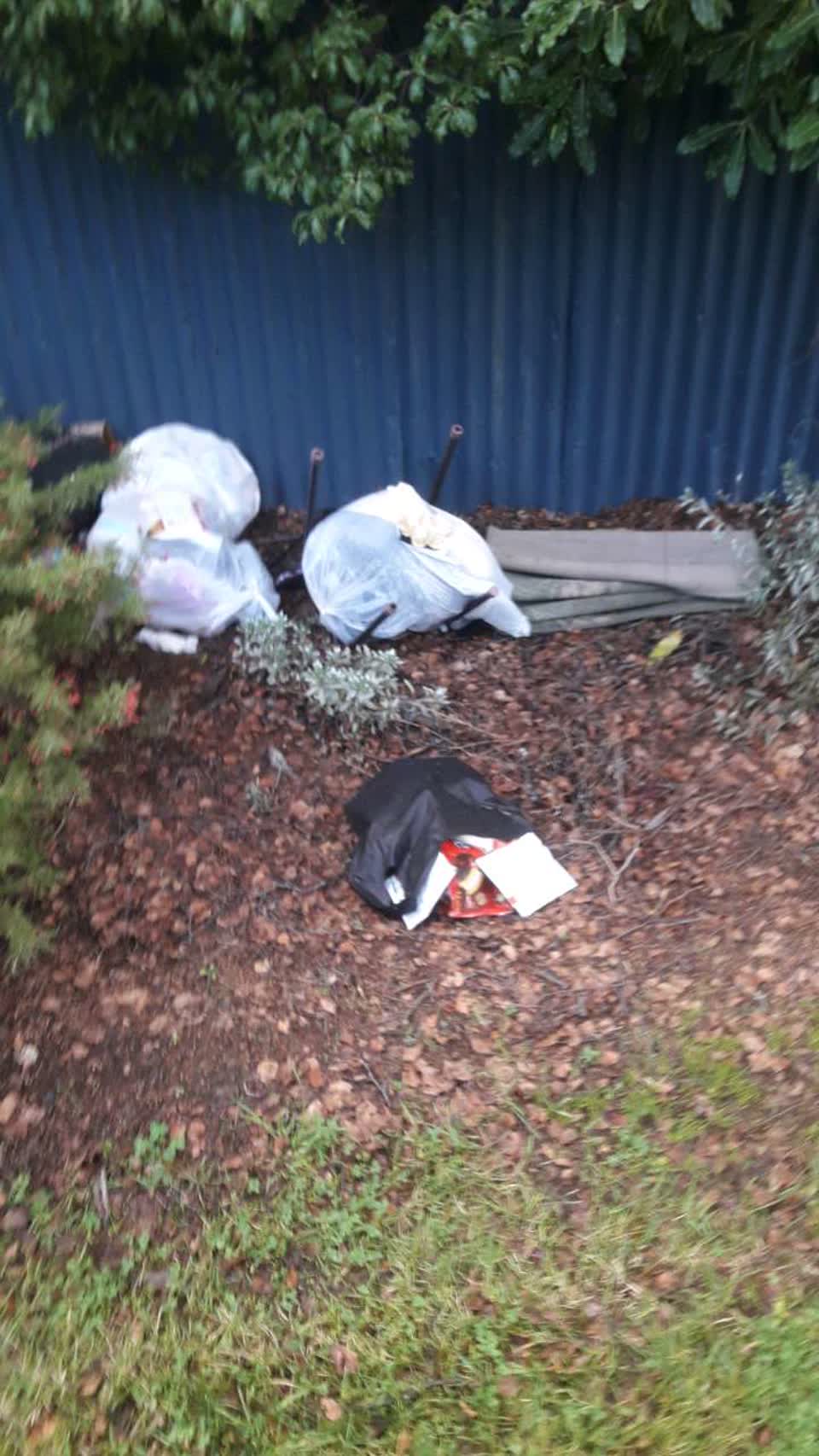 The photograph attached to this parks report
