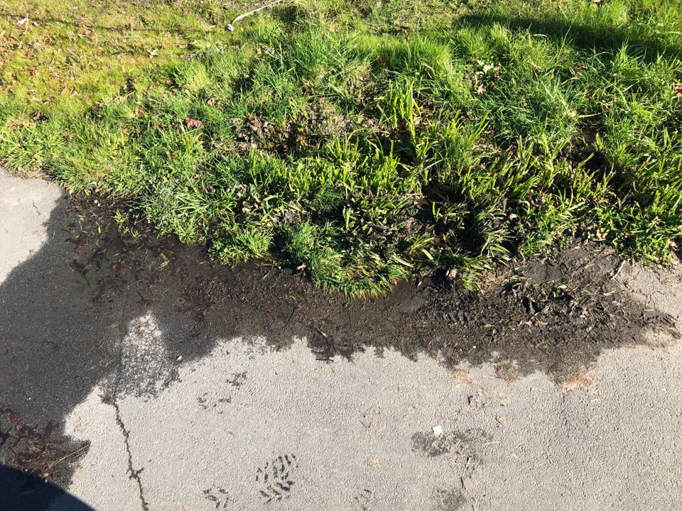 The photograph attached to this water supply report