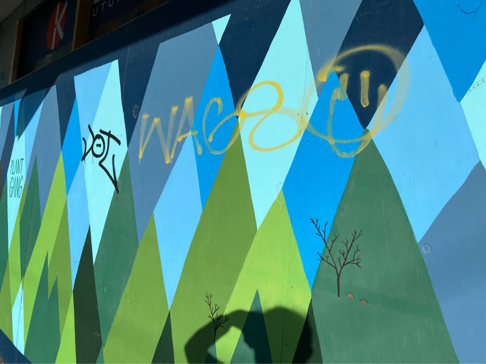 The photograph attached to this graffiti report