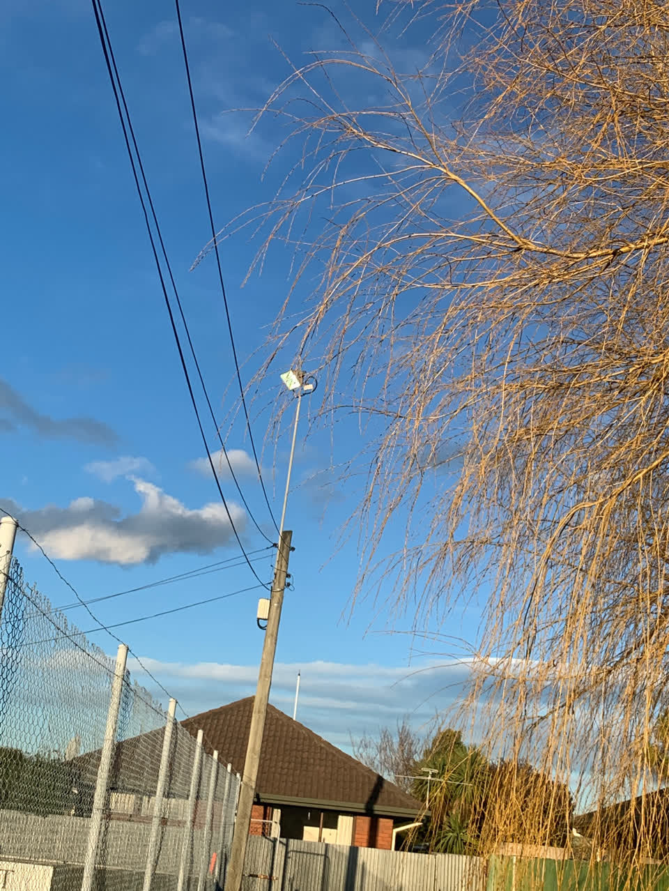 The photograph attached to this parks report
