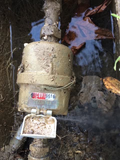 Water Supply, a report photo