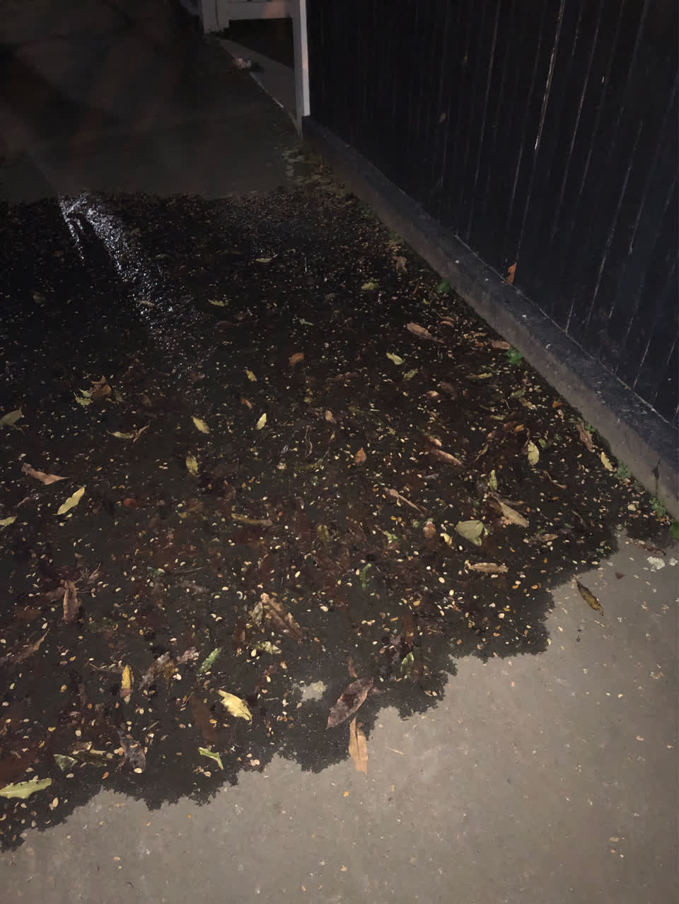 The photograph attached to this water supply report