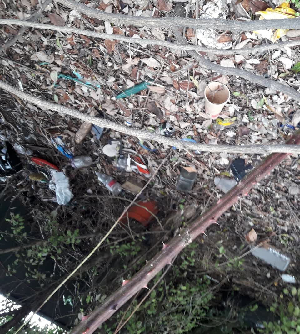The photograph attached to this parks report