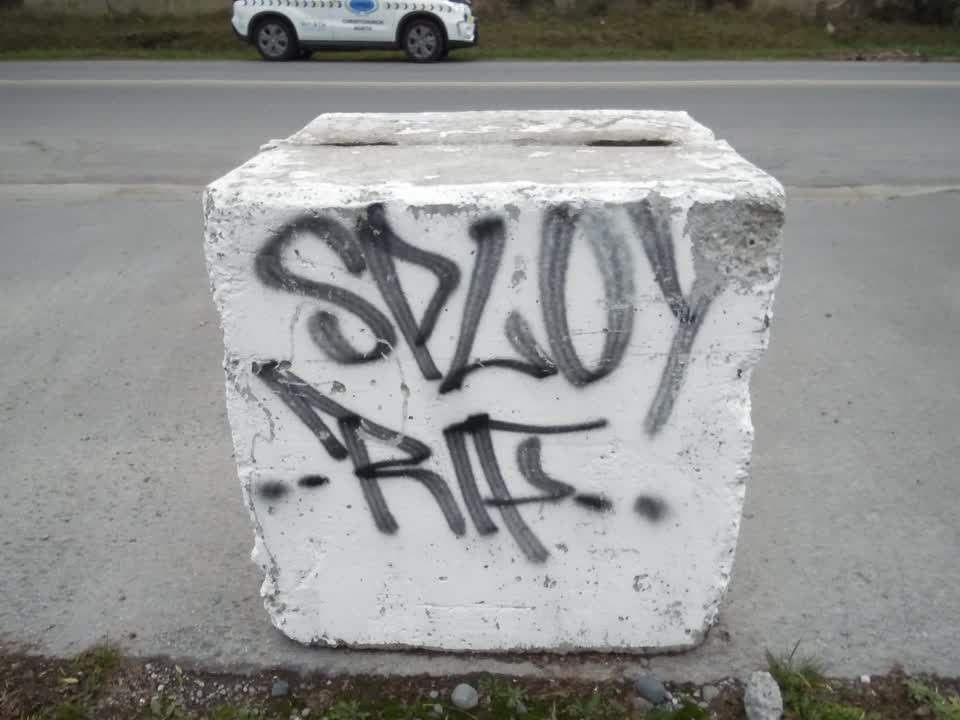 The photograph attached to this graffiti report