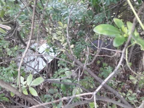 Rubbish/Recycling, a report photo