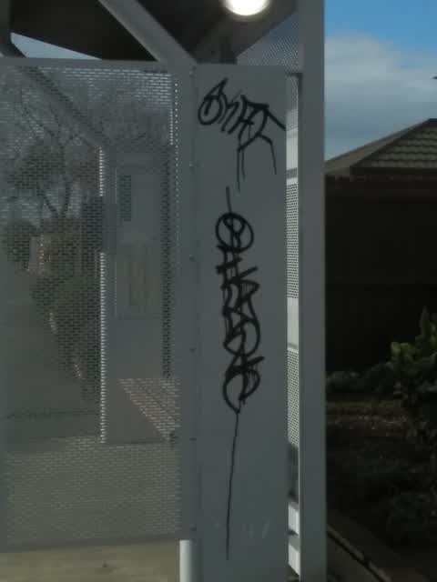 Graffiti, a report photo