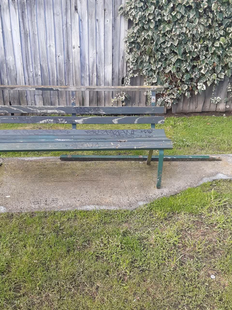 The photograph attached to this parks report