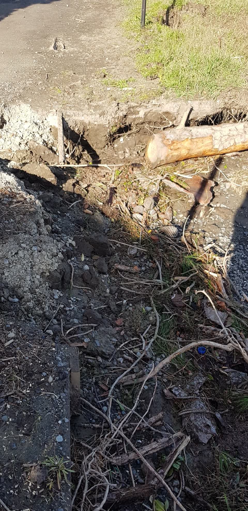 The photograph attached to this parks report