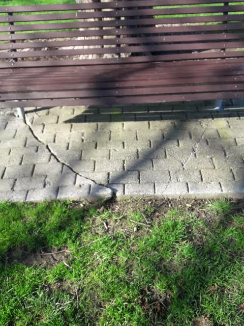 Parks, a report photo