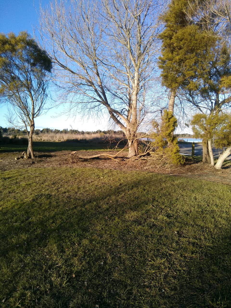 The photograph attached to this parks report