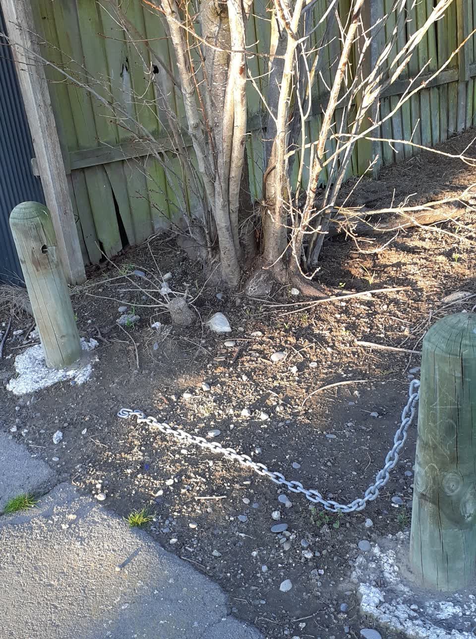 The photograph attached to this parks report