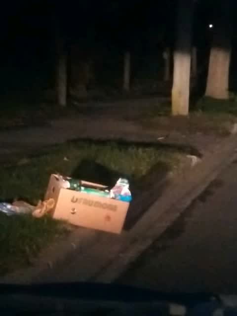 Rubbish/Recycling, a report photo